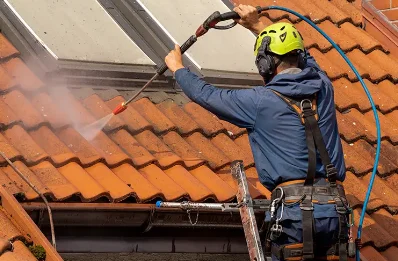 Démoussage et hydrofuge de toiture à Ambilly